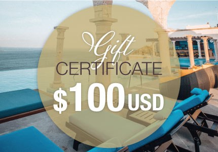 GIFT_CERTIFICATE_VE_100
