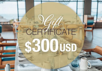 GIFT_CERTIFICATE_VE_300
